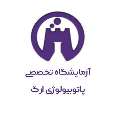 آزمایشگاه ارگ