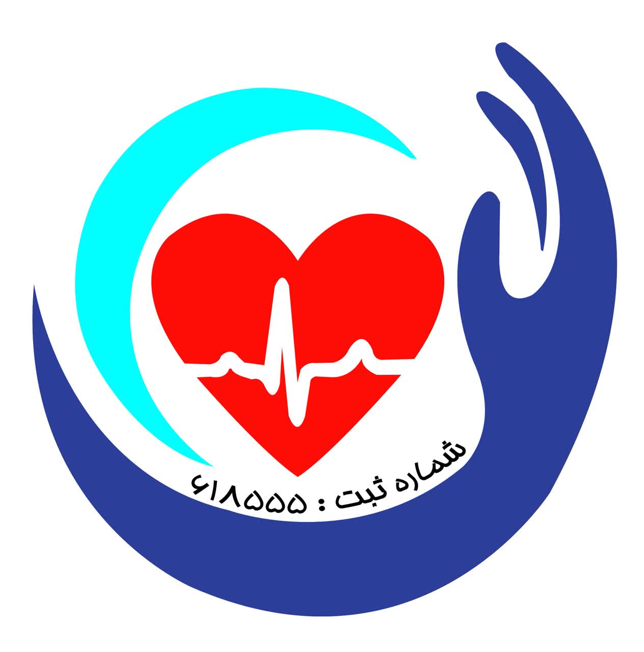 پلتفرم آنلاین شایلین