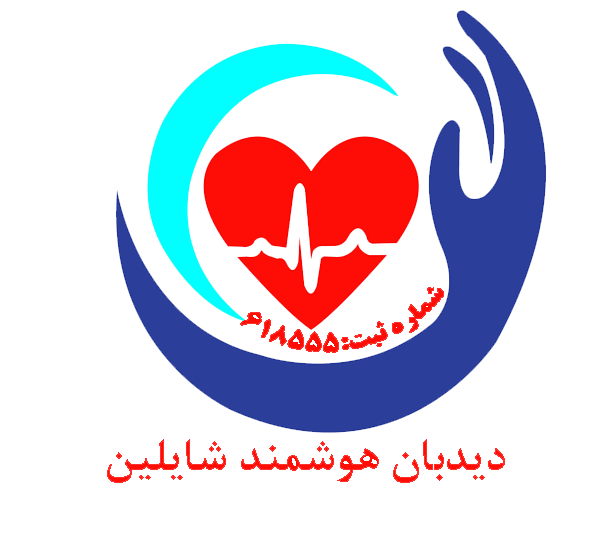 لوگوی دیده‌بان هوشمند شایلین